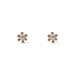 Arete Perla